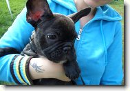 Roz�rka