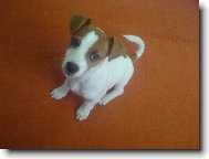 na�e Jessynka