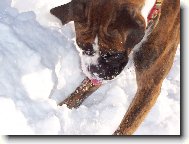 Elinka a sn�h