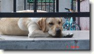max���k