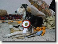 Nejlep�� dorost