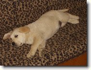 odpo�inek