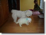 Nell�a a Eika