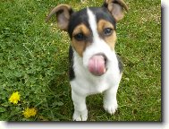 Bub�te�ek :)