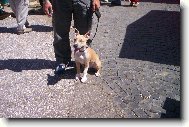 arny s p�n��kem