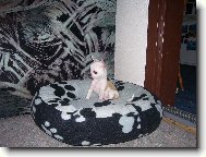 Lil�a v pel�ku