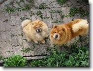 hal�, vy tam naho�e....