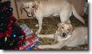 V�noce B�ry a Kett