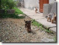 na�e �t���tka