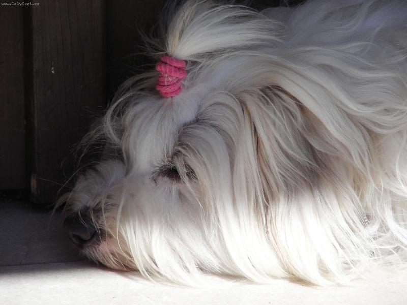 Foto: Nancy