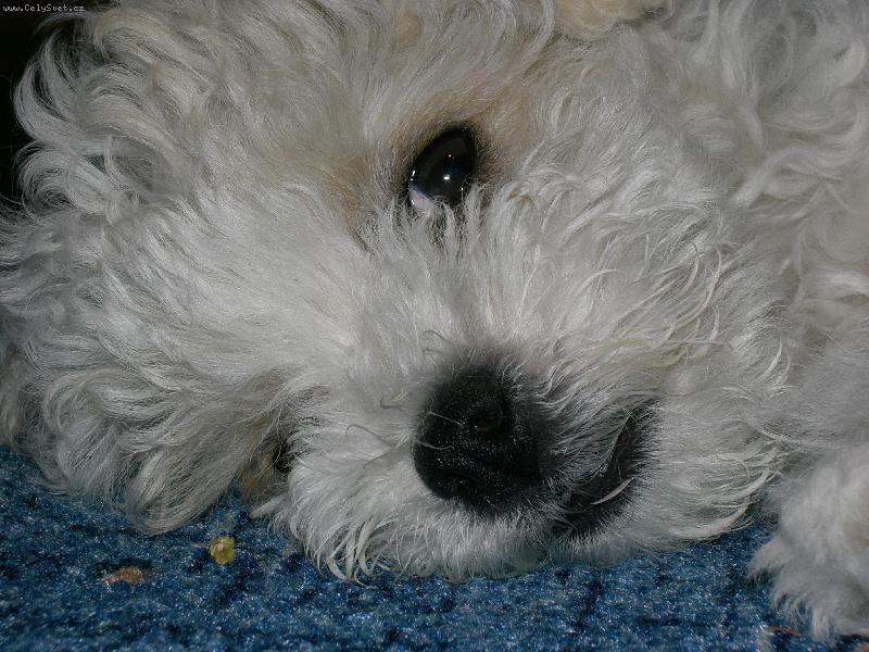 Foto: Jessie-Kuk...