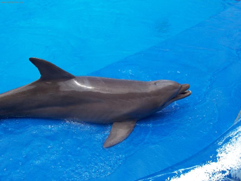 Foto: Aqualand