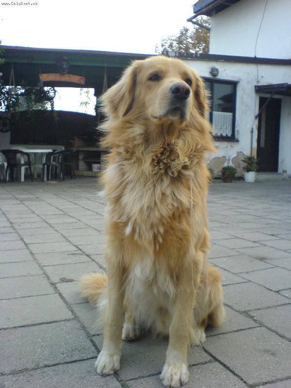 Foto: Conny�ek