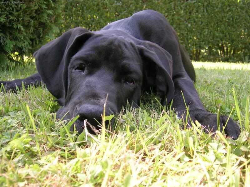 Foto: Samuel