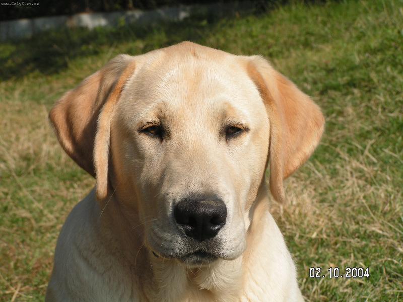 Foto: Benny