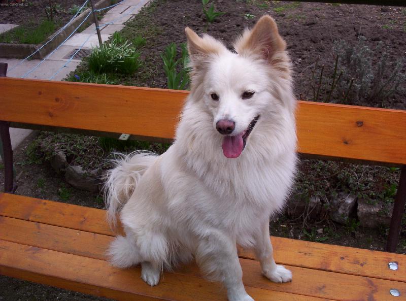 Foto: Dax�k