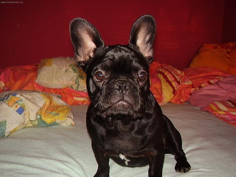 Foto: Lucky