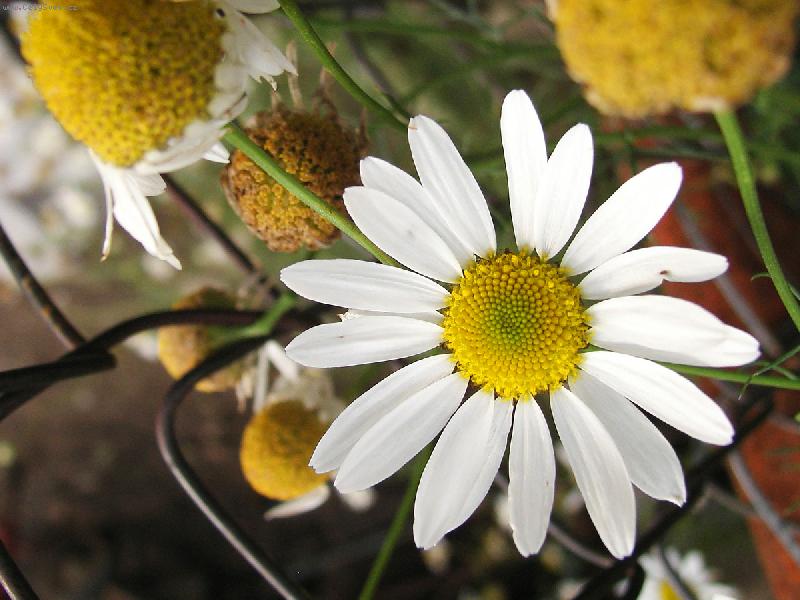 Foto: Margar�ta