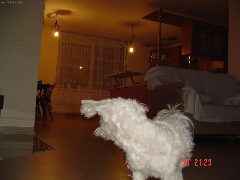Foto: �o�e ?