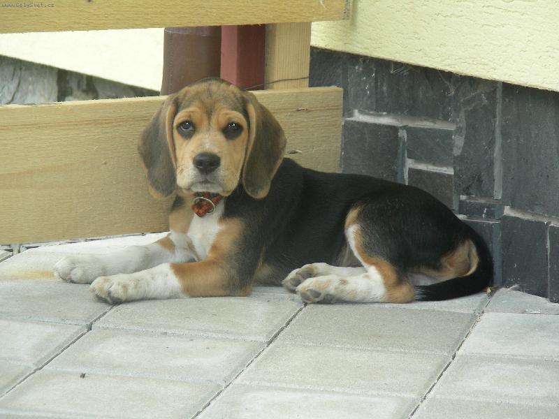 Foto: Mimino:)