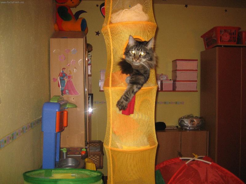 Foto: Ted�k
