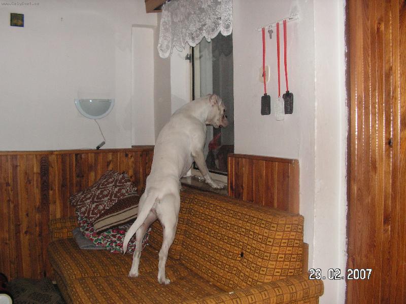 Foto: kdo je?