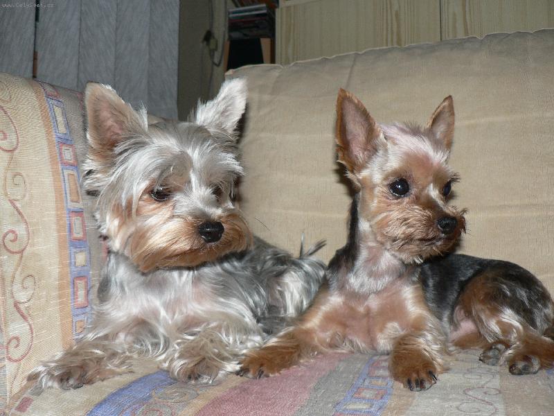 Foto: Aki a Kimmy