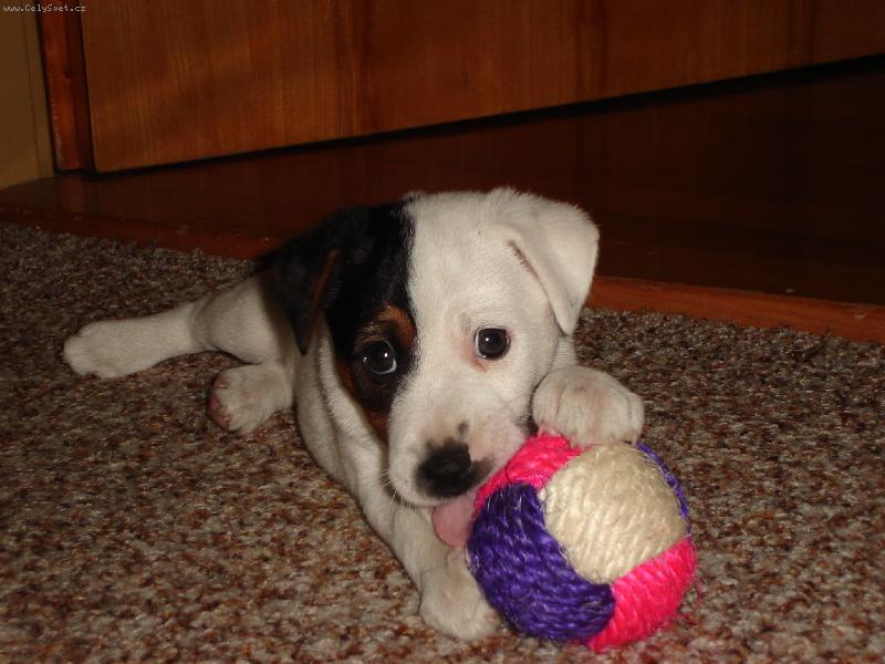 Foto: Max�k