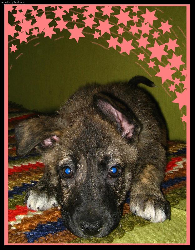 Foto: Dolce-:)