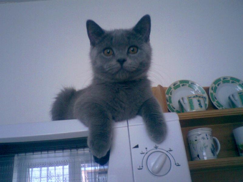 Foto: Oliver