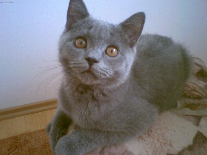 Foto: Oliver