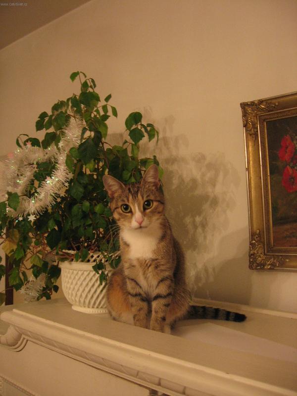 Foto: Madam