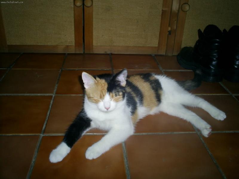 Foto: Ka�enka