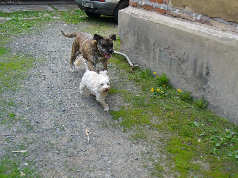 Foto: Pom�c!!!