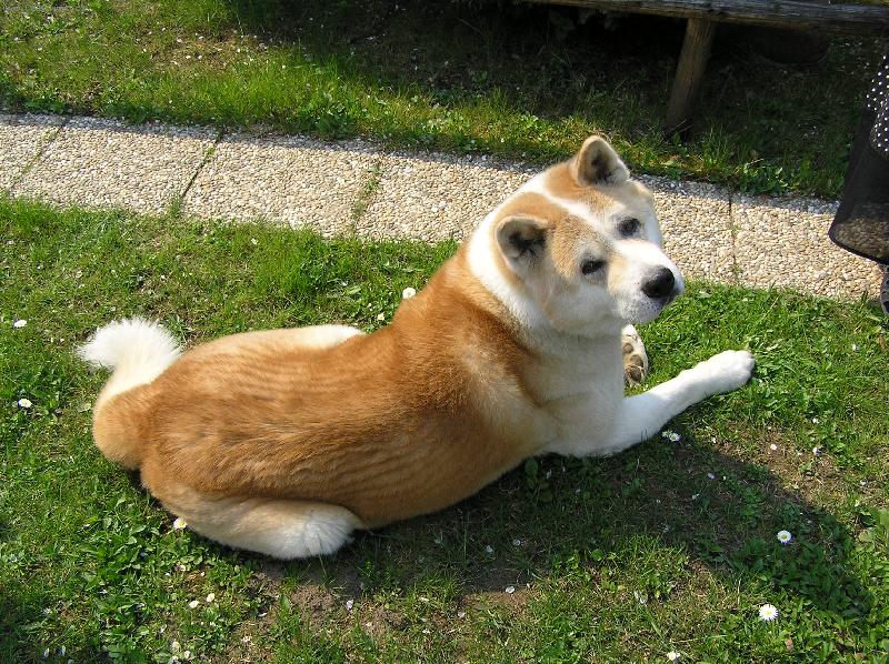 Foto: Co je???