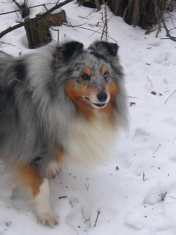 Foto: �eltie4