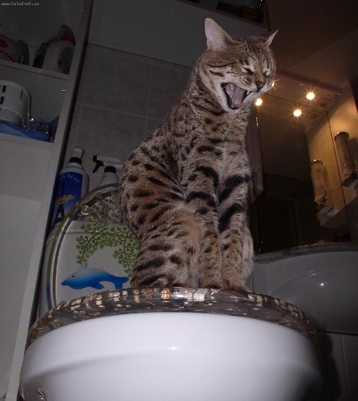 Foto: To je fu�ka