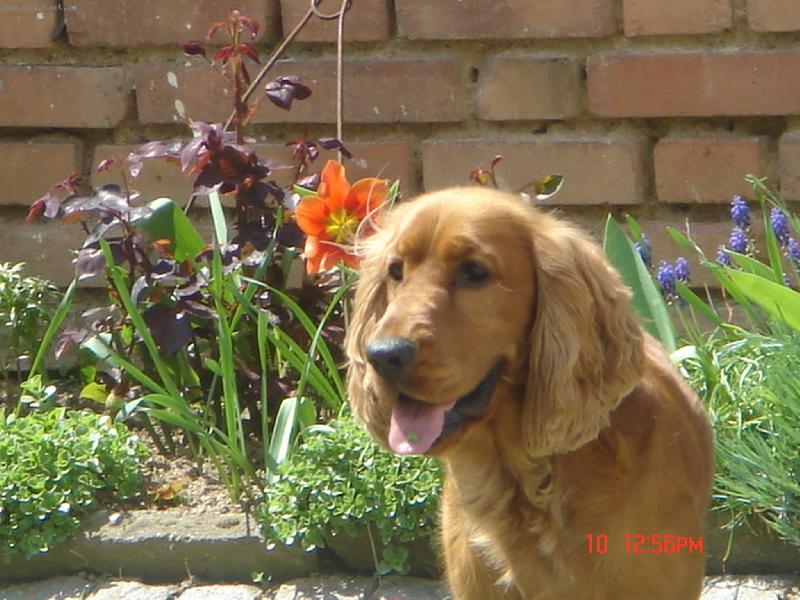 Foto: Fredie
