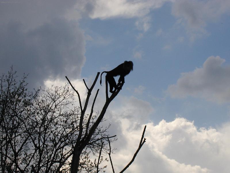 Foto: to je rozhled