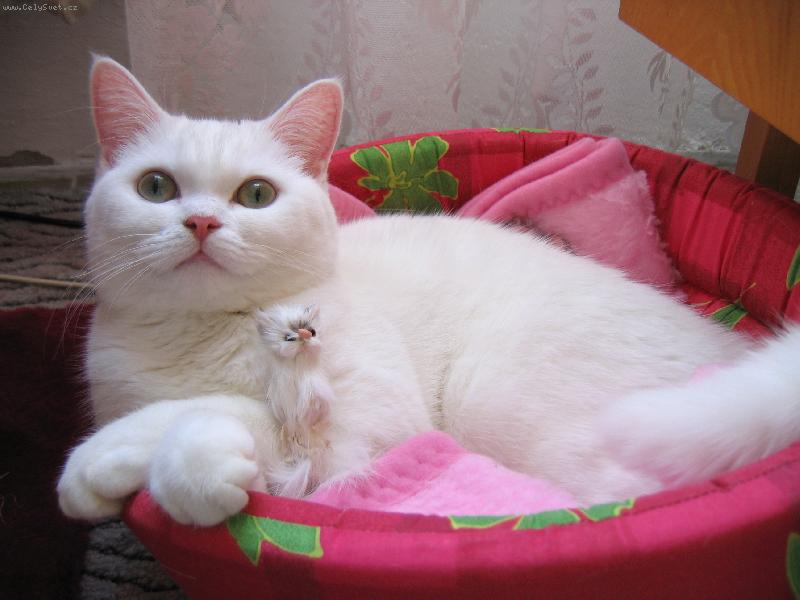 Foto: �ofinka