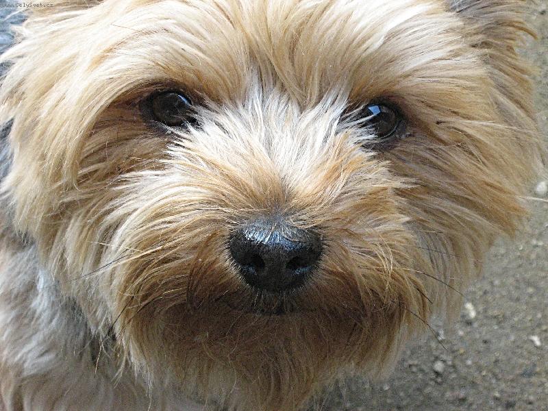 Foto: Tobi�