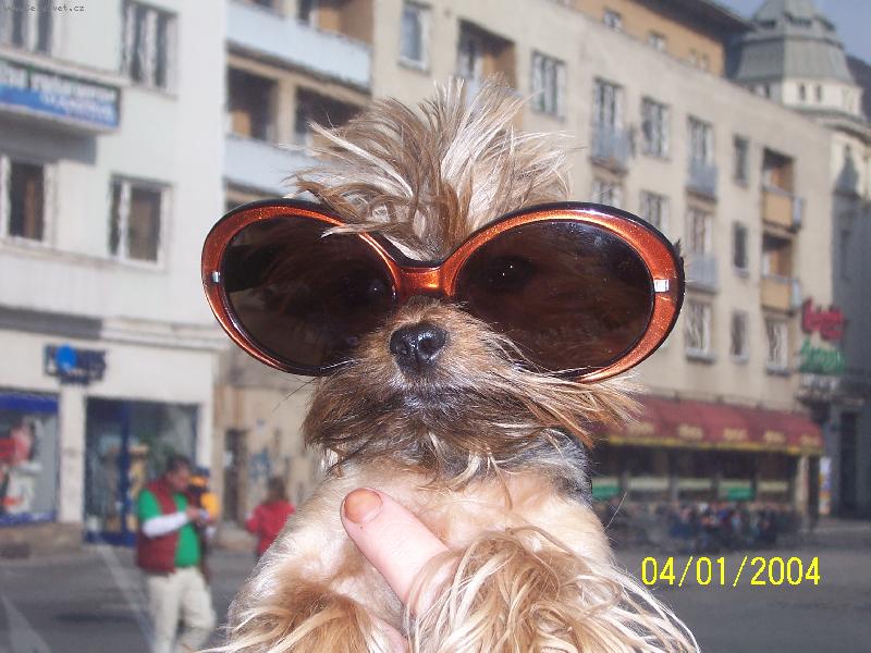 Foto: BBS