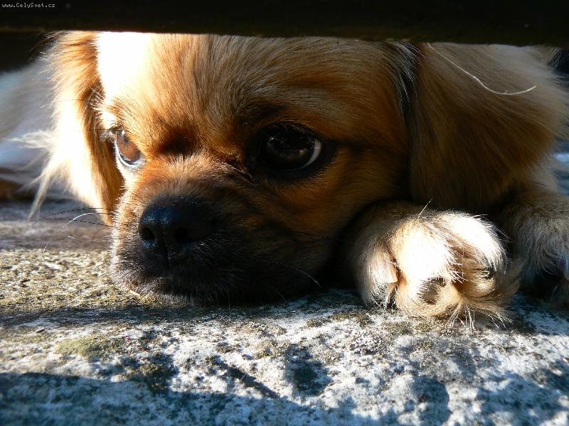 Foto: Na�e Bett