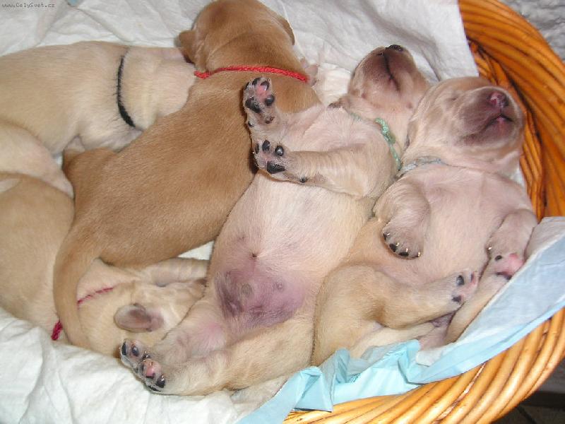 Foto: Miminka