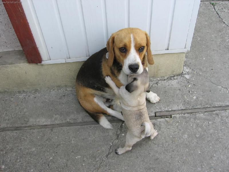 Foto: Johny a Jack