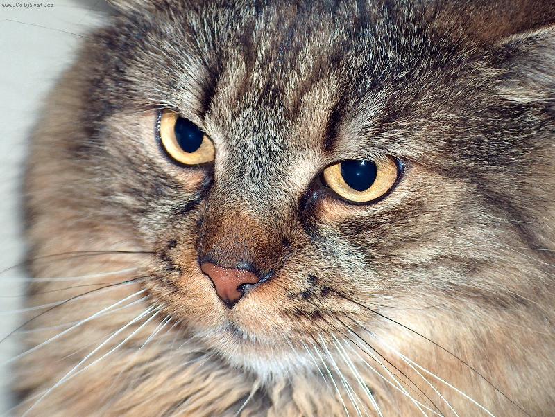 Foto: Pohled