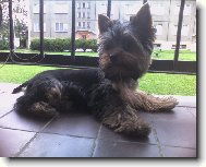Max�k