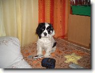 po�k�m, jestli zavol�
