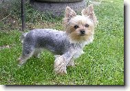 �mudlinka