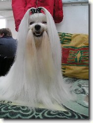 FUNI�KA